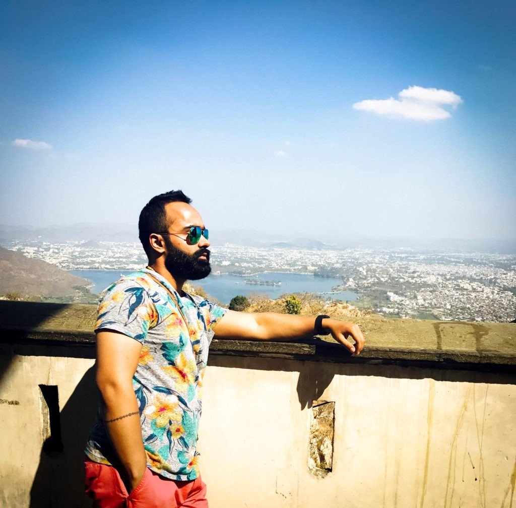 Udaipur from the top: Toads on the road.