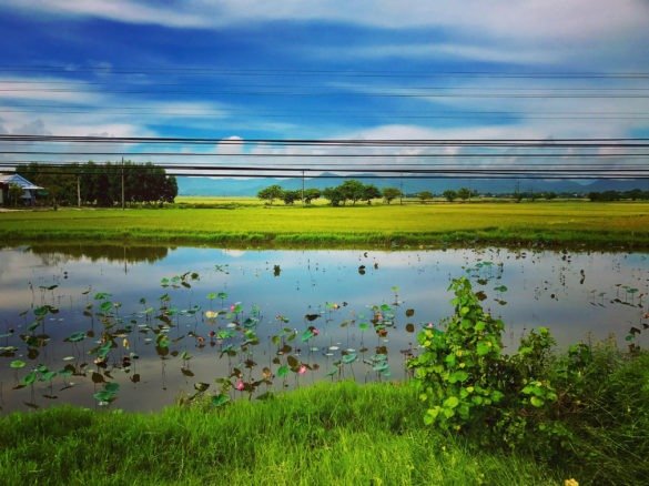 Random Vietnam Landscape