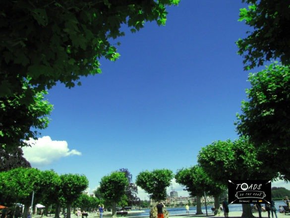 Konstanz Lake tree shade, South Germany