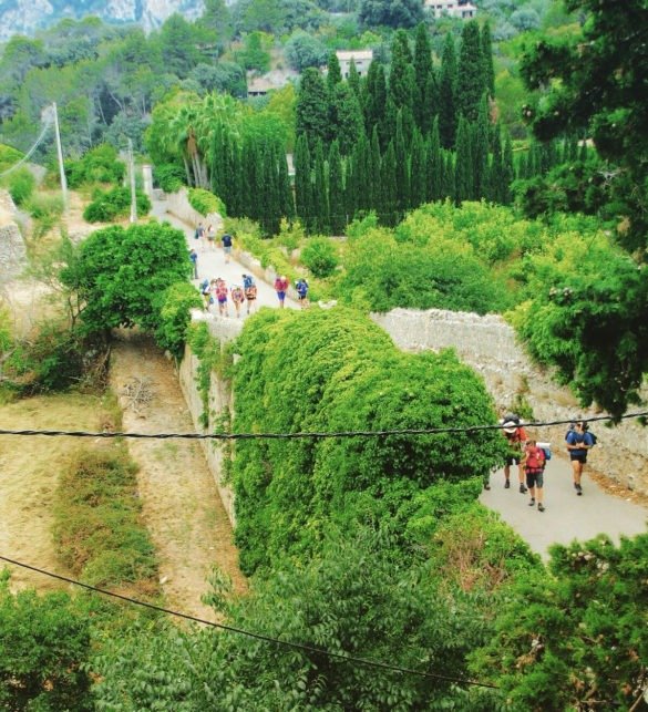 Hike in Valldemossa, Mallorca
