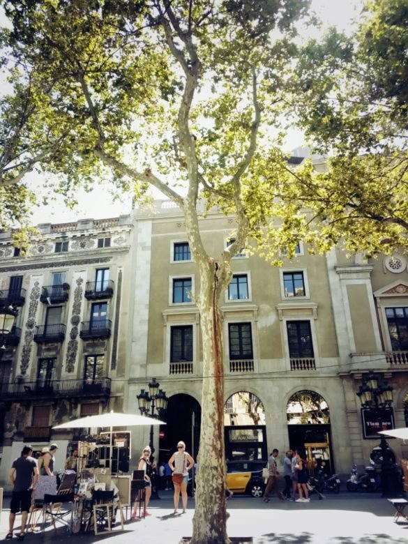La Rambla Potrait Shot