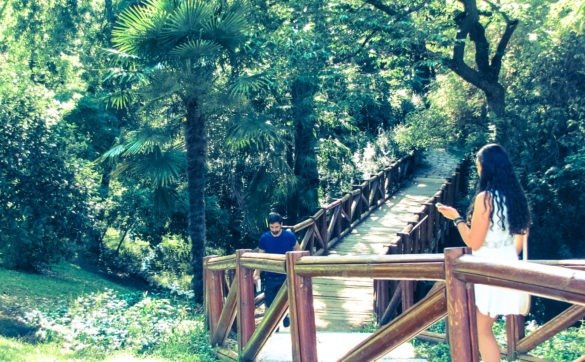 Taking a walk in Buen Retiro Park, Madrid
