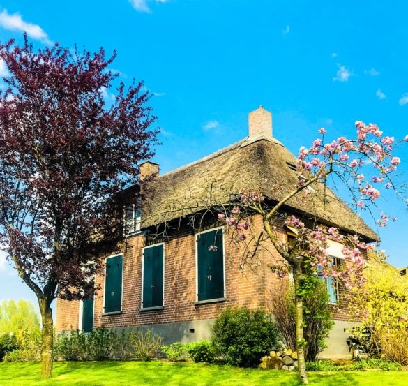 Vintage houses, just out of a fairy tale with boat ways in front