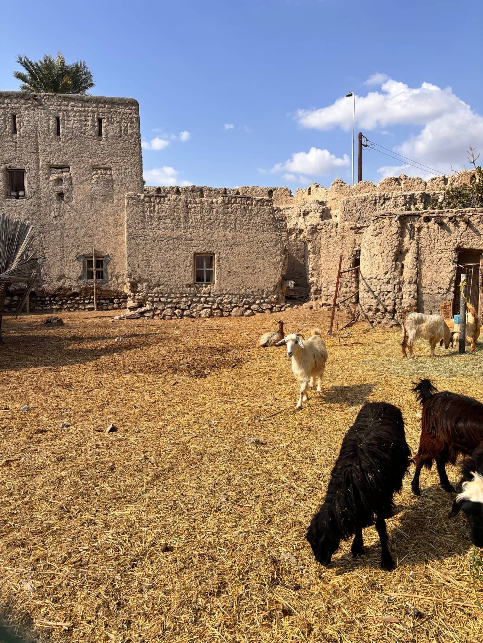 Quiet roads in Oman perfect for peaceful road trips
